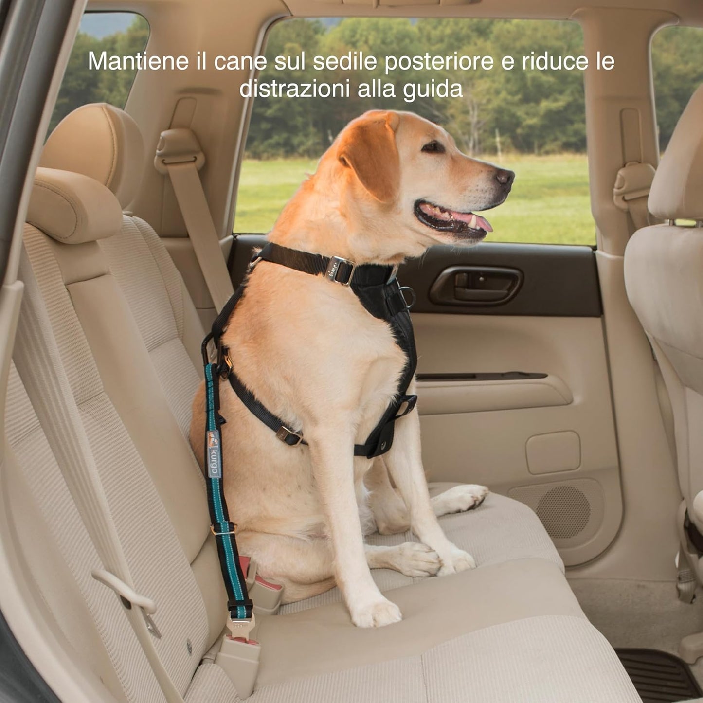 Direct to Seatbelt Tether for Dogs, Adjustable Car Safety Belt Leash, Quick & Easy Installation, Works with Any Pet Harness, Carabiner Clip, Coastal Blue