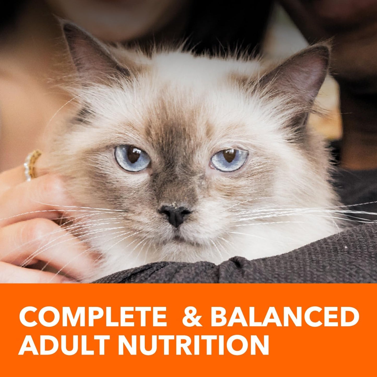 Proactive Health Adult Healthy Dry Cat Food with Chicken, 7 Lb. Bag