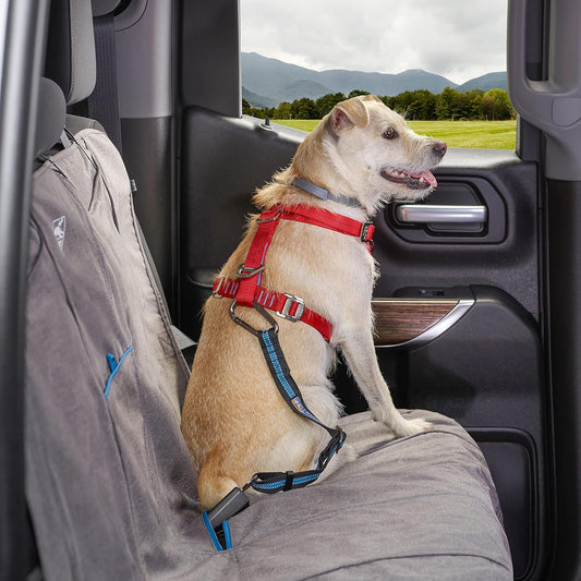 Direct to Seatbelt Tether for Dogs, Adjustable Car Safety Belt Leash, Quick & Easy Installation, Works with Any Pet Harness, Carabiner Clip, Coastal Blue